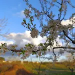 Valle D'itria In Villa Martina Franca