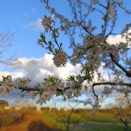 Valle D'itria In 빌라 마르티나프란카