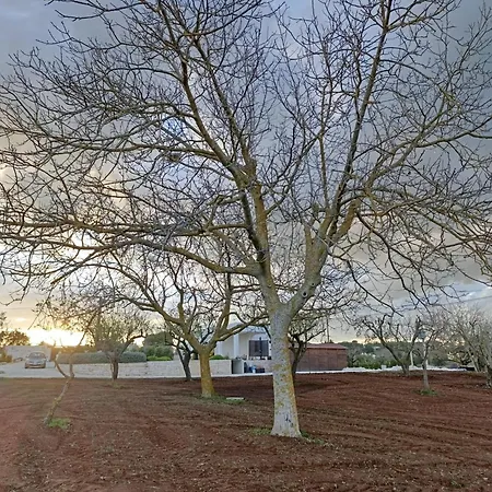 Valle D'itria In וילה