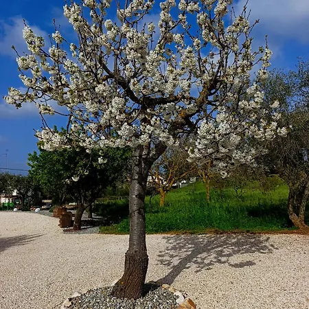 וילה Valle D'itria In