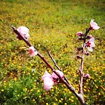 Valle D'itria In מרטינה פרנקה