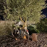 וילה Valle D'itria In מרטינה פרנקה