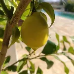Valle D'itria In מרטינה פרנקה