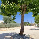 Valle D'itria In * מרטינה פרנקה