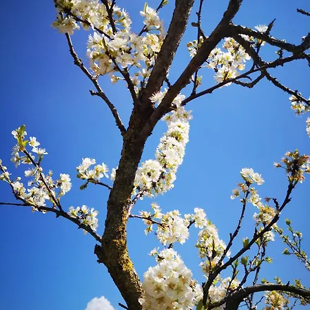 Valle D'itria In * Мартина-Франка