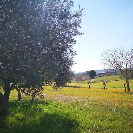 Valle D'itria In 别墅 马丁纳弗兰卡