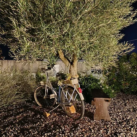 Villa Valle D'itria In Martina Franca