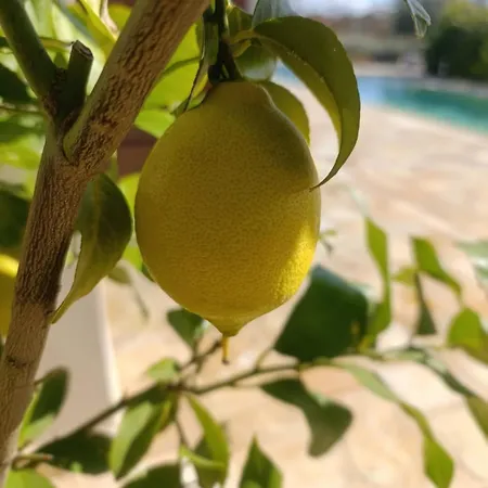 Valle D'itria In Martina Franca