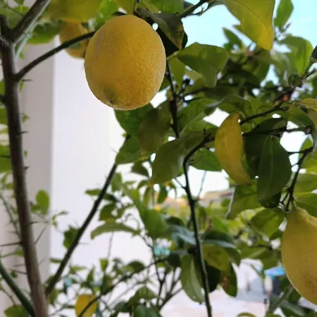 Valle D'itria In * Martina Franca