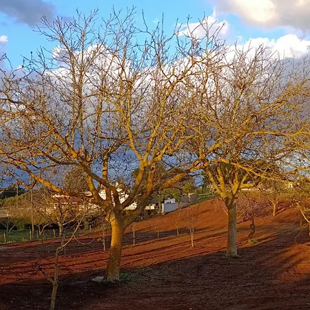 Valle D'itria In Вилла *