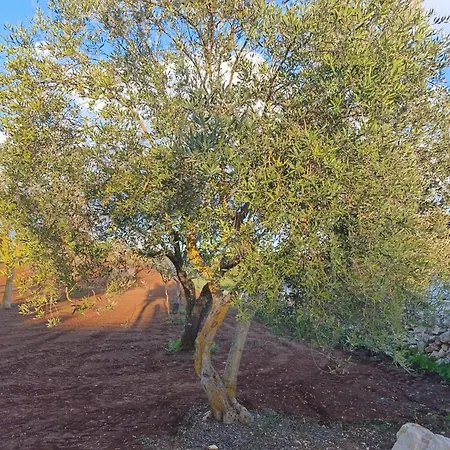 Вилла Valle D'itria In Мартина-Франка