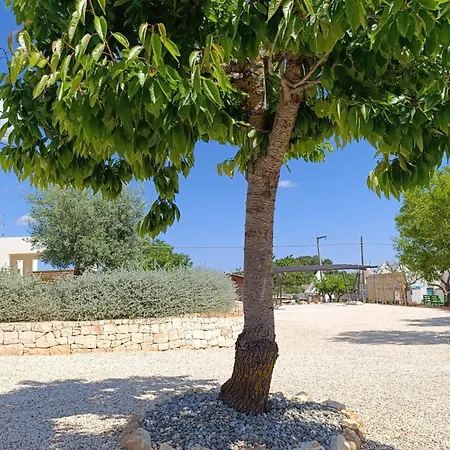 Valle D'itria In * Martina Franca