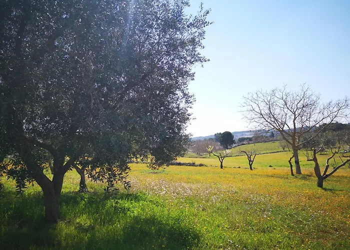 Valle D'itria In 别墅 马丁纳弗兰卡